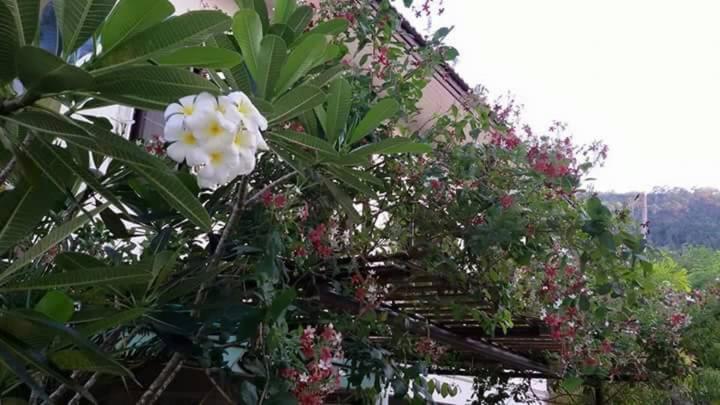 קו צ'אנג Periwinkle Villa מראה חיצוני תמונה