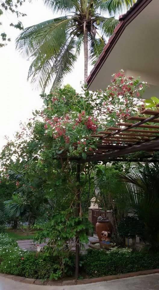 קו צ'אנג Periwinkle Villa מראה חיצוני תמונה